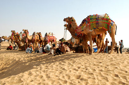 Bikaner Camel Festival