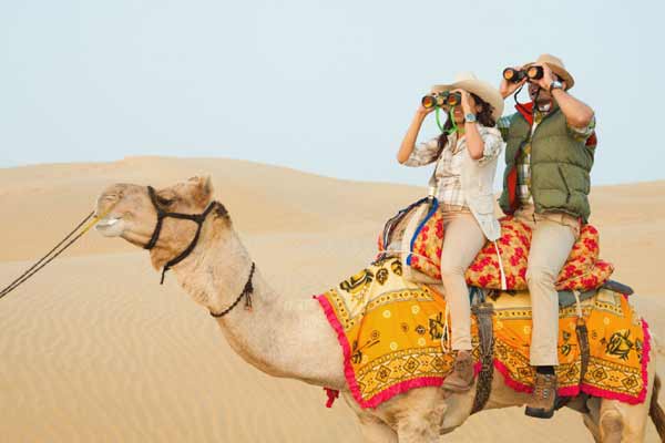 Safari del camello india