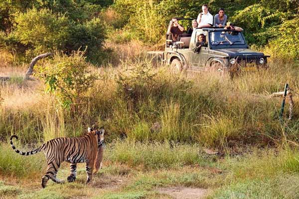 Fauna Sancturies Rajasthán